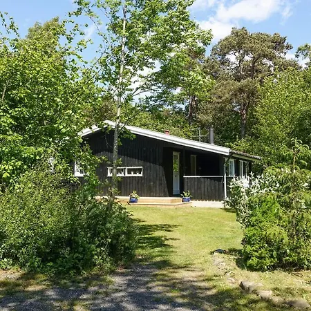 Pet Friendly In With Kitchen